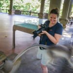 Sacred Monkey Forest