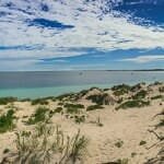 Coral bay