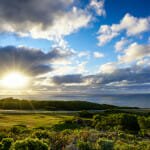 Cape Otway