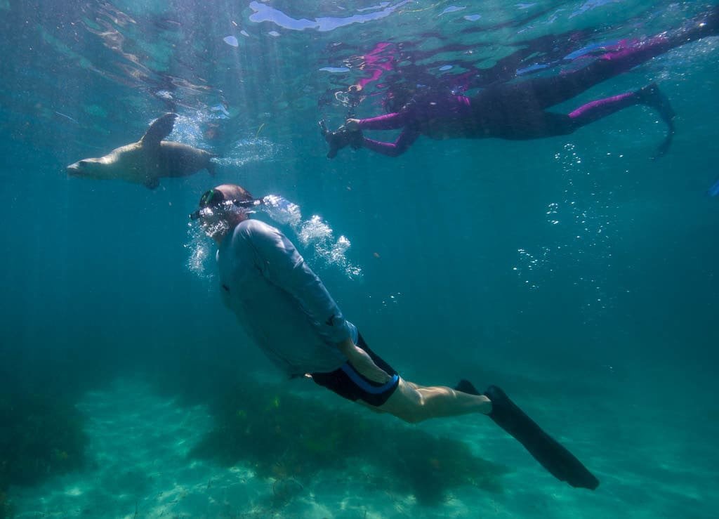 Australian Sea Lion (and me and Andy)