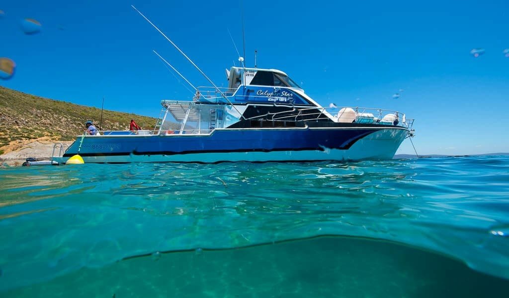 The Calypso Star