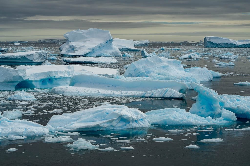 A scattered field of icebergs floats across a cold Antarctic sea, with a moody, overcast sky casting a somber tone over the frozen landscape.