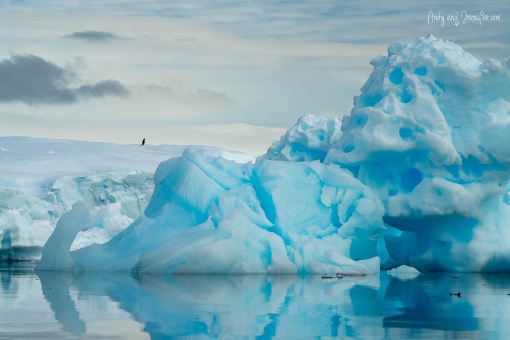  Solitary penguin standing on distant snowy ridge with large blue icebergs reflected in calm water