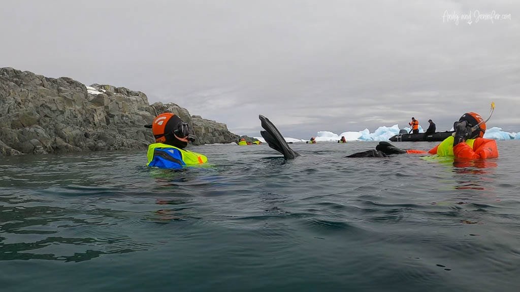 Snorkellers in drysuits and orange hoods floating in cold, icy waters near rocky shore and inflatable boats.