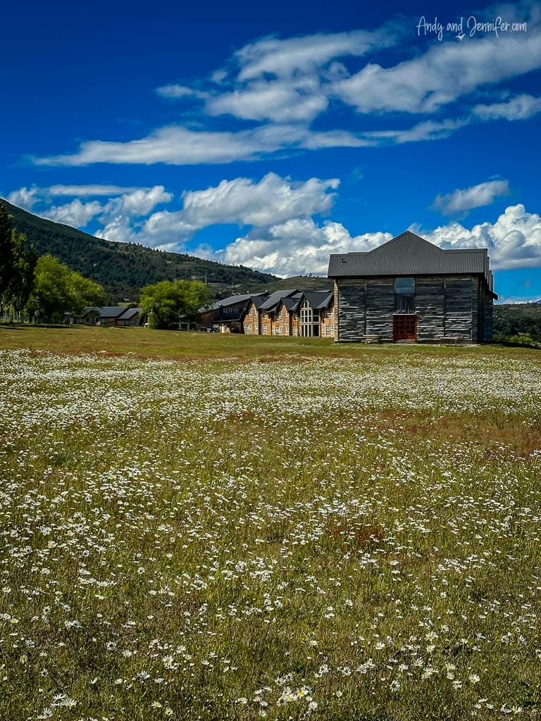 Field of wildflowers in front of the Hotel las Torres