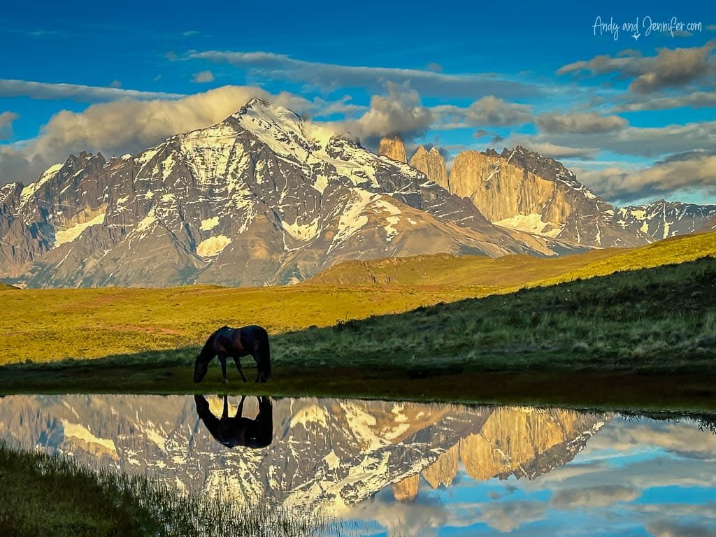 Horse grazing by lake with mountain reflection at sunrise