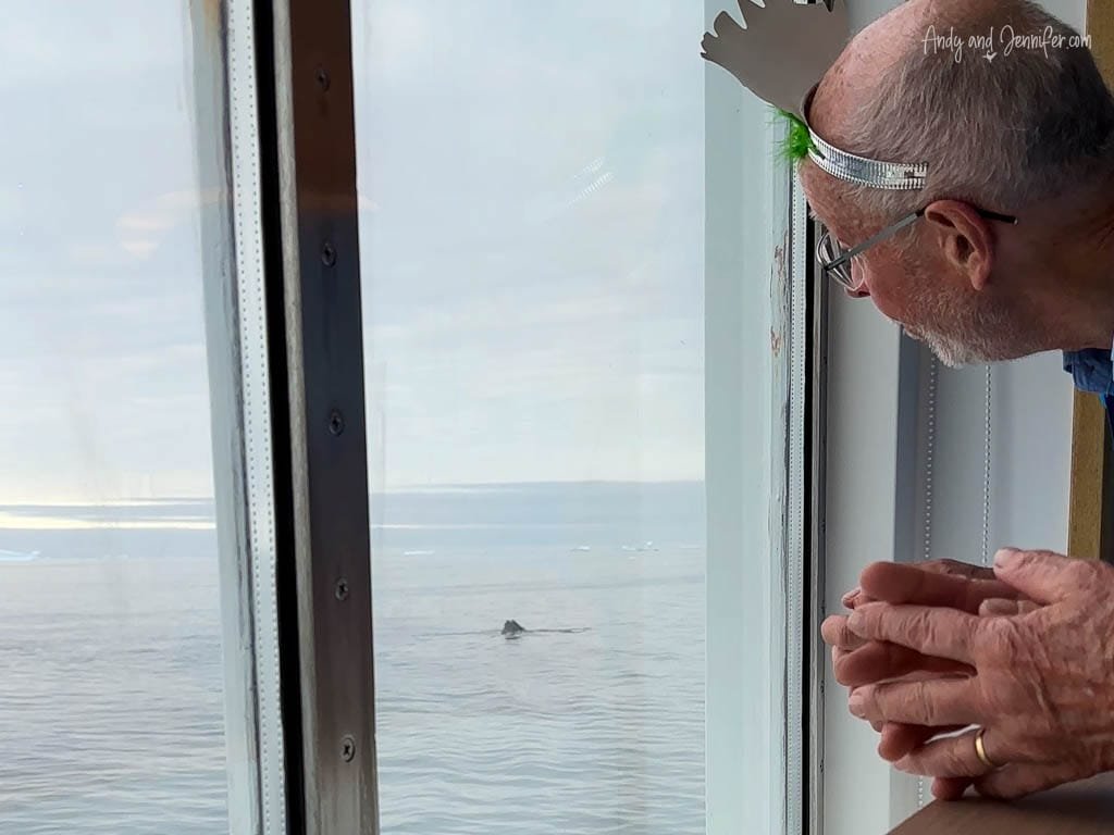 Man wearing festive headband gazing out a window at calm ocean waters, with a distant whale visible