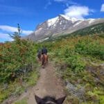 Horseback riding on a mountain trail with scenic views