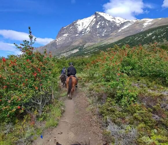 Horseback riding on a mountain trail with scenic views