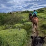Group horseback riding through grassy hills under cloudy sky"