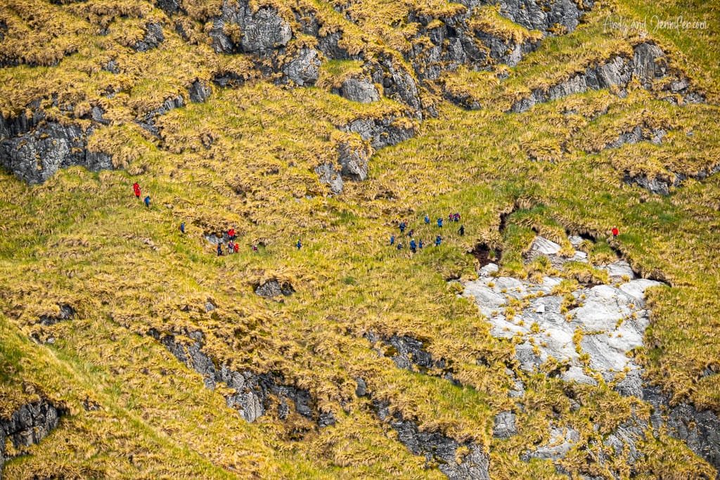 A group of hikers in bright jackets trek across a rugged, grassy mountainside, scattered among rocks and patches of golden moss.