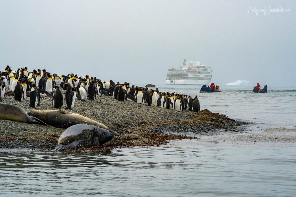 Colony of king penguins and elephant seals on a rocky beach with a cruise ship and zodiacs in the background.
