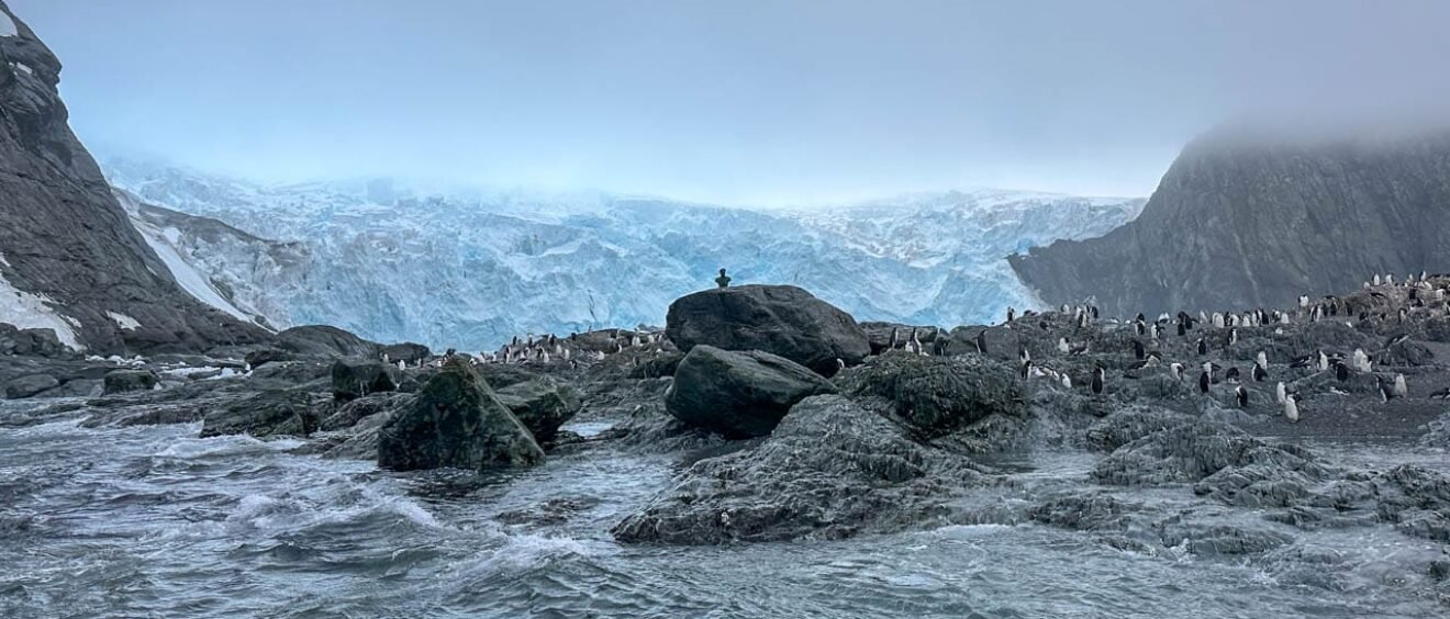Penguin colony gathered on rocky shore with towering glacier and foggy sky in the background.
