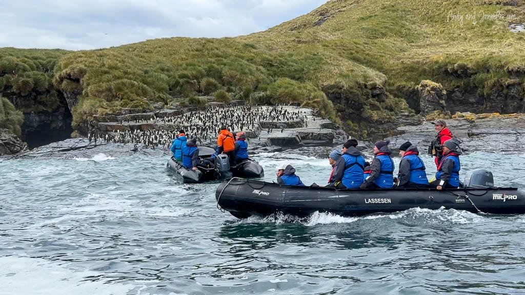 Two small boats carrying passengers in blue life jackets approach a rocky shore filled with a large colony of penguins, surrounded by grassy cliffs.
