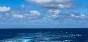 Seabird flying over a deep blue ocean under a partly cloudy sky.