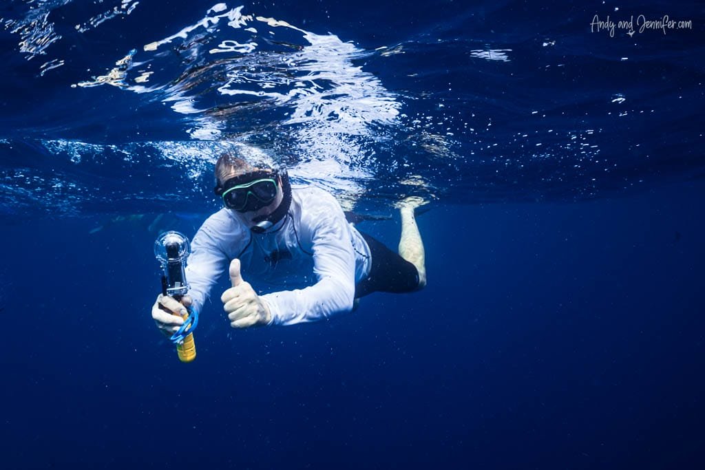 Man snorkelling holding an underwater action camera giving a thumbs up sign after snorkeling with whale sharks