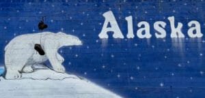 Alaska mural with polar bear and night sky backdrop