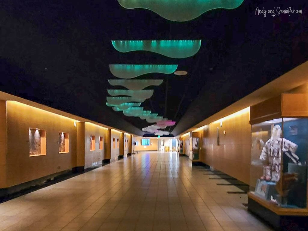 Dimly lit hallway with display cases and wavy ceiling lights