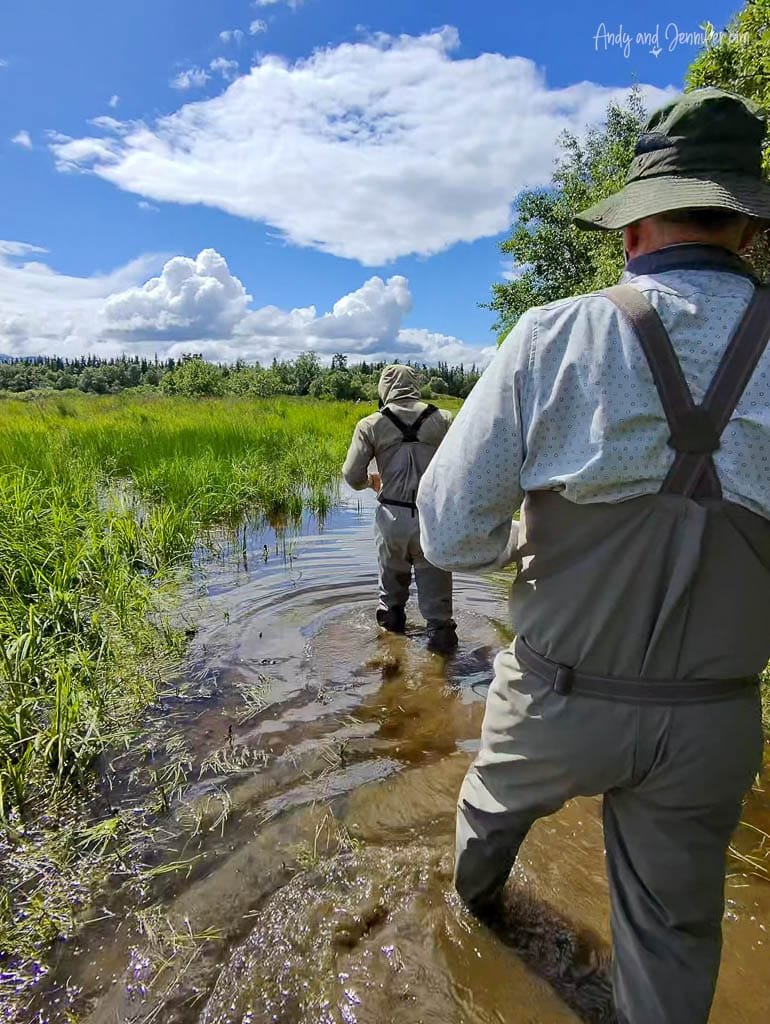 Two people wading through shallow water in marshland, wearing fishing gear.