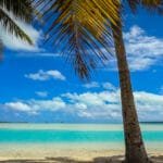 A palm tree framing the crystal-clear turquoise waters of Aitutaki’s lagoon under a bright blue sky.