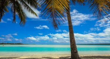 A palm tree framing the crystal-clear turquoise waters of Aitutaki’s lagoon under a bright blue sky.