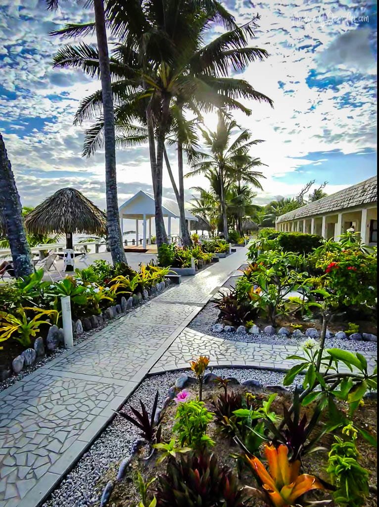Scenic tropical resort path with palm trees and gardens