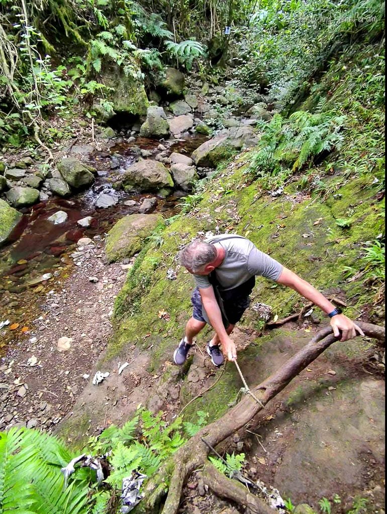 Man climbing mossy slope with rope in lush forest.