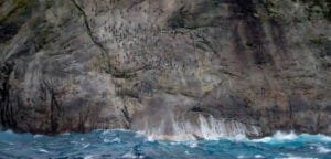 Penguins scattered across steep rock cliffs by ocean waves