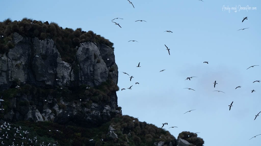 Seabirds flying near rocky cliff against blue sky