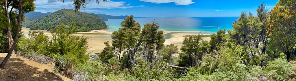 Coastal forest view overlooking tidal estuary