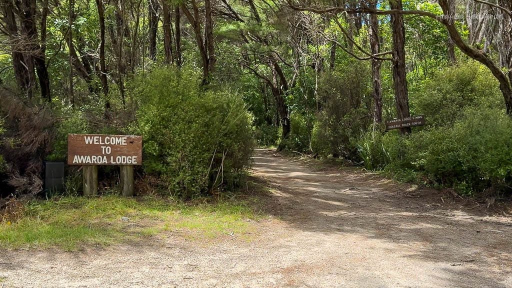 Forest trail entrance with Awaroa Lodge sign