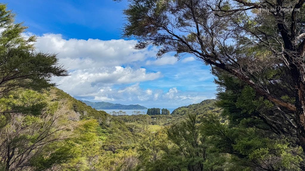 Forest valley view with distant bay and clouds