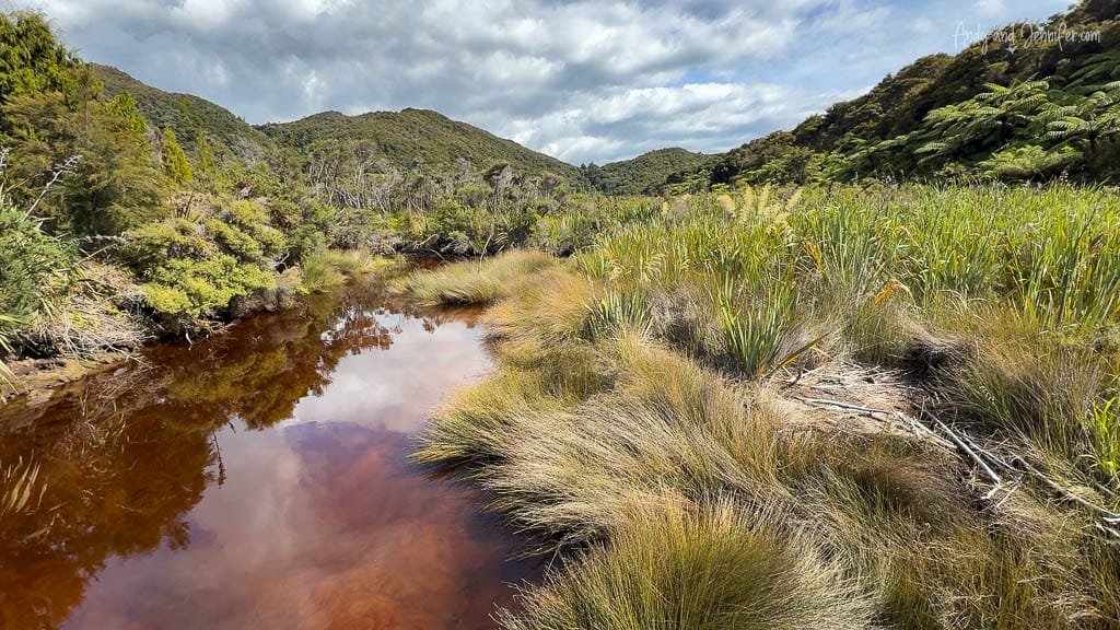 Brown stream winding through lush marshland