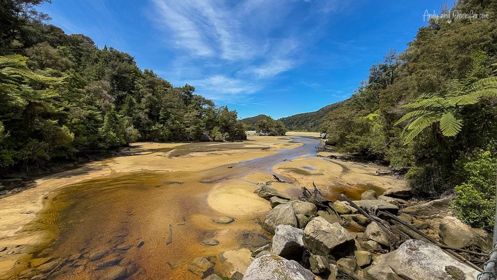 Tidal river winding through lush forest valley