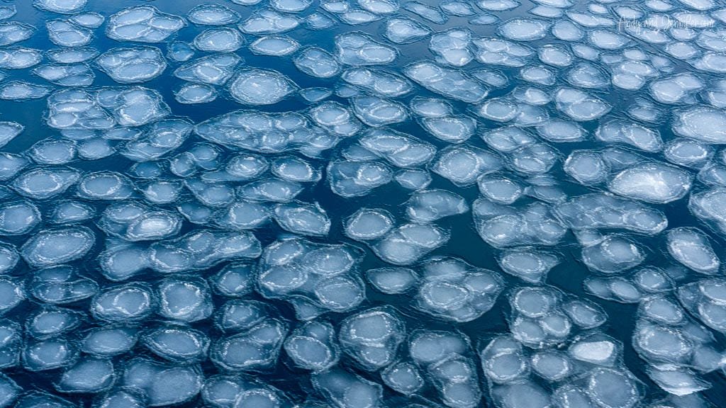 Pancake ice pattern floating on deep blue sea