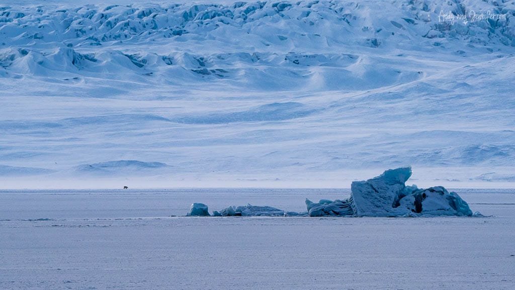 Polar bear walking near icy blue glacier field