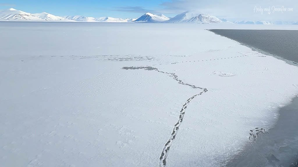 Footprints crossing frozen Arctic sea