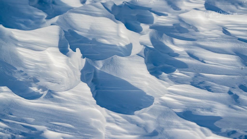 Wind-sculpted snowdrifts in Arctic light
