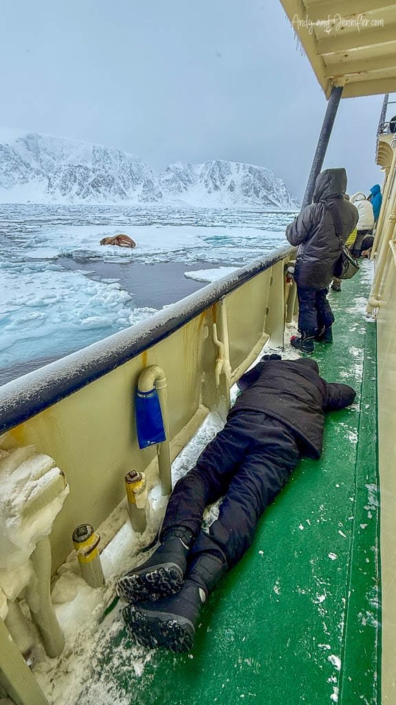 People observing walrus on Arctic sea ice from ship deck