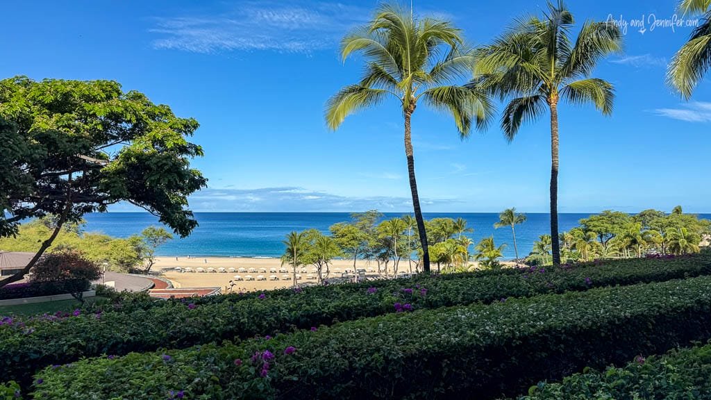 Scenic view of Hapuna Beach with palm trees and ocean