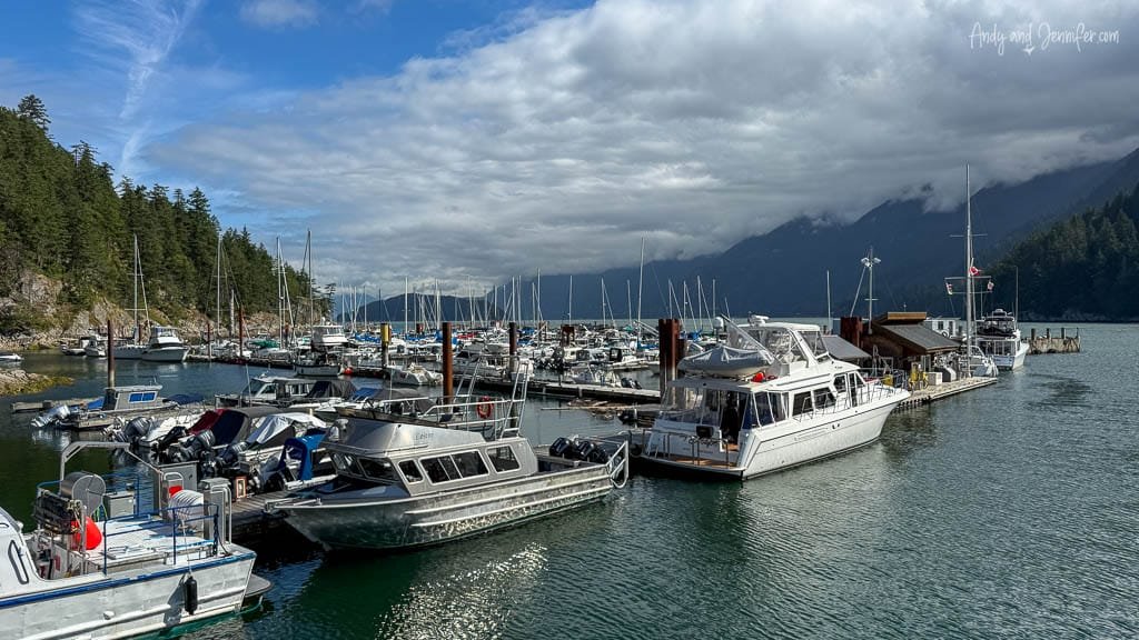 Boats docked at Horseshoe Bay marina with forested mountains