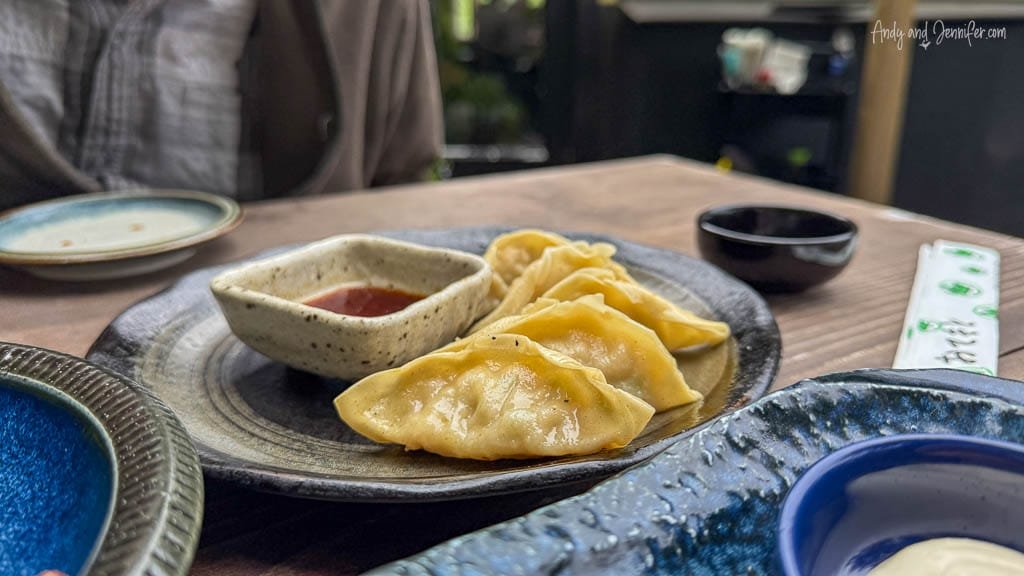 Plate of pan-fried dumplings (gyoza) accompanied by a small bowl of soy-based dipping sauce.