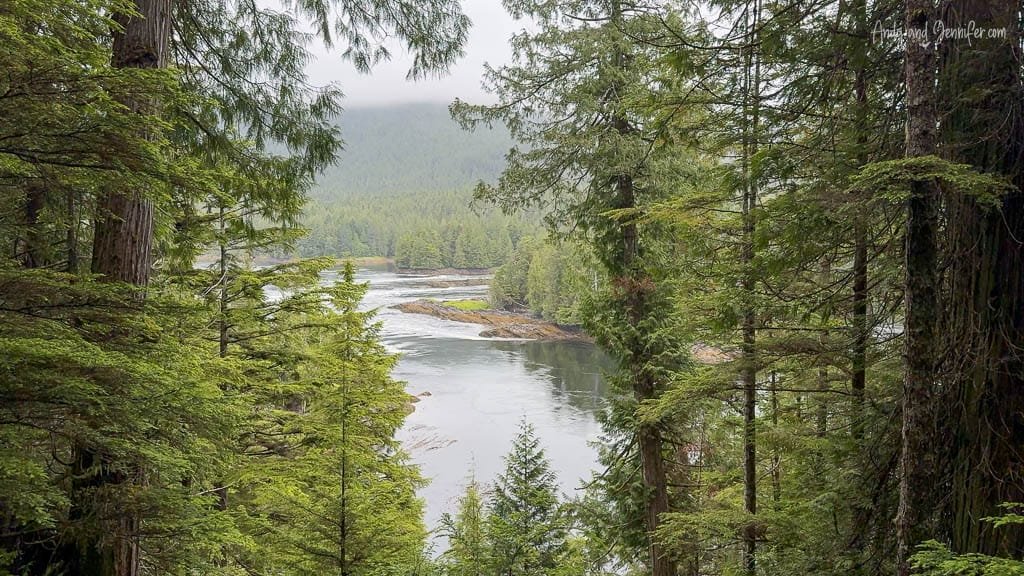 Scenic view through dense evergreen forest overlooking a calm, winding river or inlet surrounded by lush greenery and misty hills in the distance.