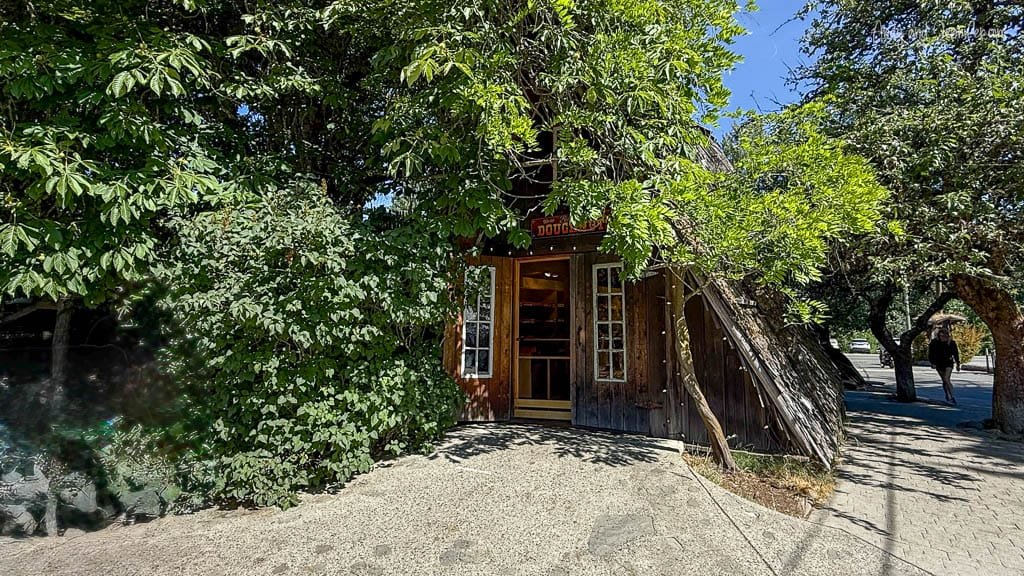Small wooden A-frame shop surrounded by trees and greenery