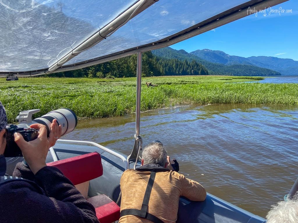 Wildlife photographers capturing bear from boat