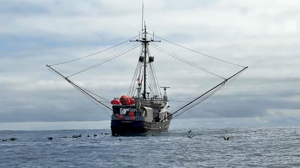 Fishing boat at sea surrounded by seabirds under a cloudy sky