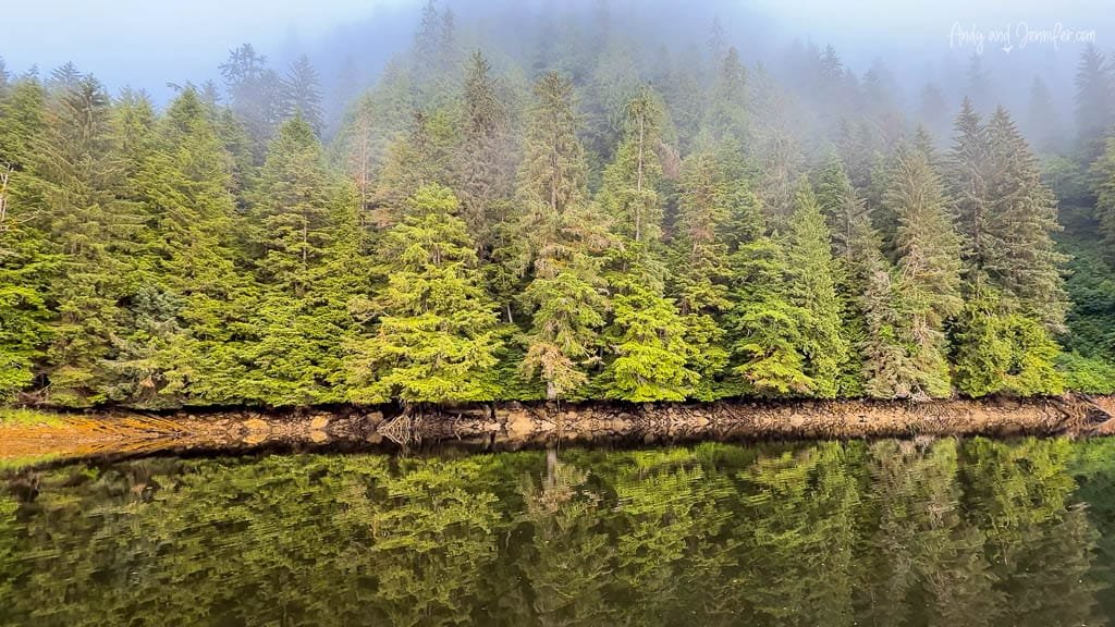 Fog drifting over lush green coastal forest