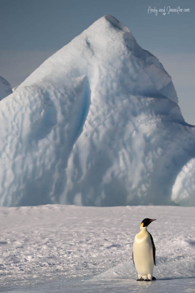 Lone emperor penguin facing massive iceberg across Antarctic sea ice