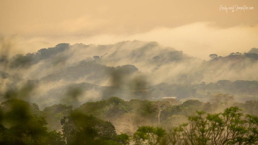 Morning fog rolling through the rainforest canopy near Canopy Tower in Panama as sunrise light filters across the jungle hills above the Panama Canal watershed