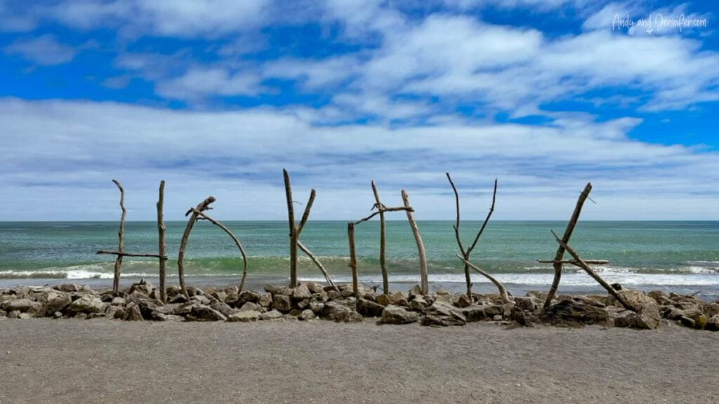Driftwood sculpture on a windswept beach on the South Island, New Zealand